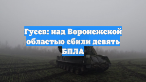 Гусев: над Воронежской областью сбили девять БПЛА