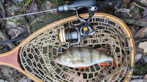 МОРМЫШИНГ. Десна между мостов 6 декабря 2025 года