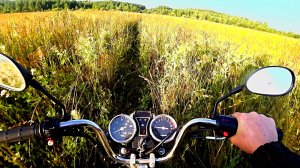 Продолжаю поиск в другом лесу...