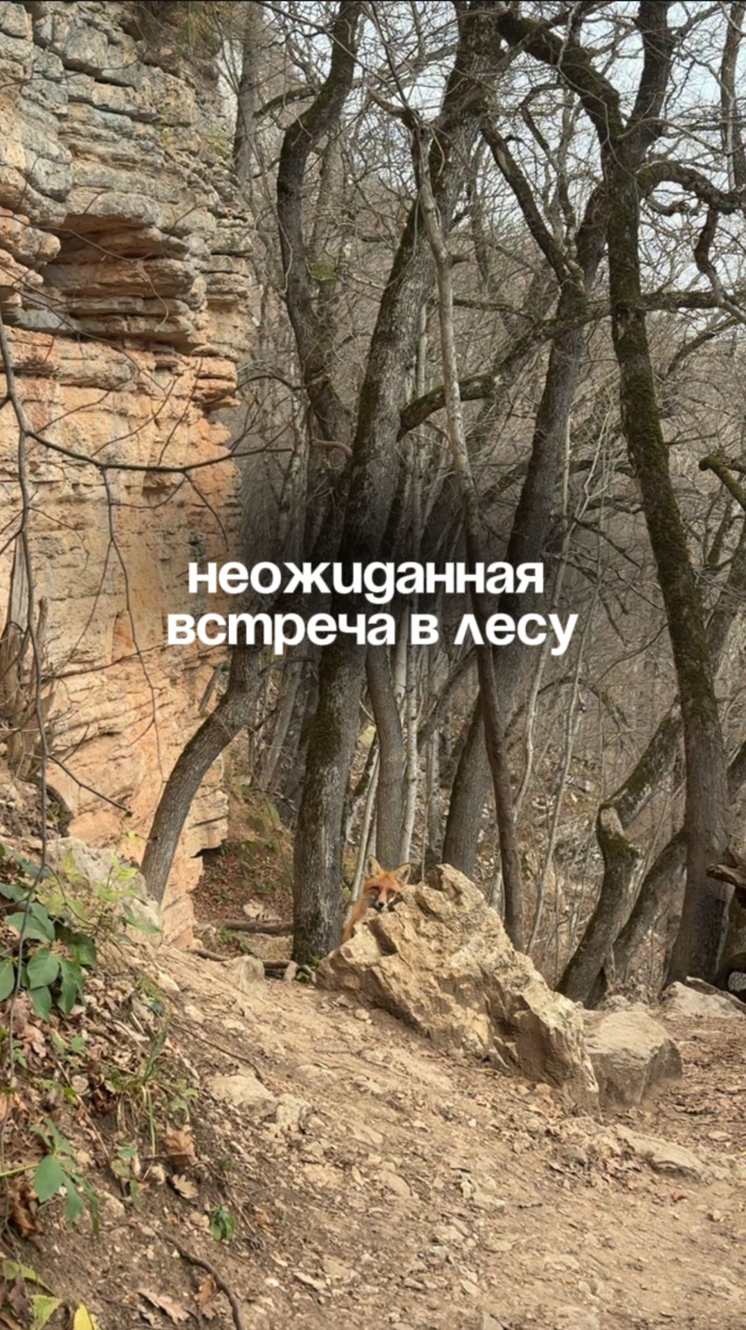 А вы бы испугались?