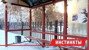 Вандалы громят остановки общественного транспорта в Иркутске