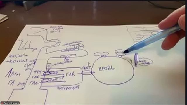 Лекция БХ углеводы1