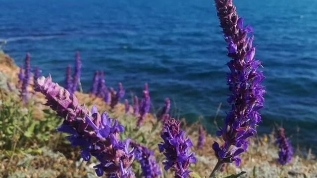 Молитва 12 Его безопасность. Молитвы за мужа из книги Сторми Омартиан "Сила молящейся жены"