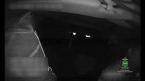 Задержанный в ходе погони со стрельбой водитель из Амурской области получил 10 суток ареста