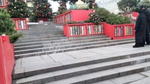 ХОББИ - ВЛОГ.М БОРОВИЦКАЯ. БИБЛИОТЕКА ИМ. ЛЕНИНА.(09.12.2025г.).