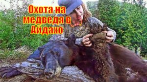 Охота на медведя в Айдахо