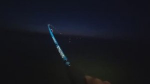 РЫБАЛКА УДАЛАСЬ ! ОГРОМНЫЕ САЗАНЫ ДИНОЗАВРЫ!!!!