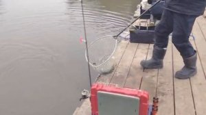 Спортзона,на блесну