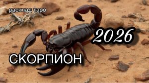 СКОРПИОН таро прогноз на 2026 [расклад таро] [гадание онлайн]