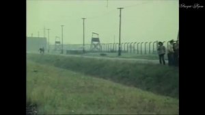 ВОРОНЬЯ РАДОСТЬ      Валерий брошь   09  .  12   .  2025г