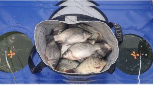 Первый лед - Большой Атяж. Ловля карася. Открытие зимнего сезона 2025-2026. Icefishing.