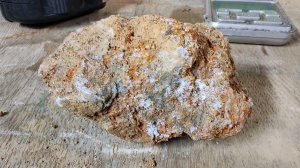 БОГАТЫЕ ЗОЛОТОМ ОТВАЛЫ СССР