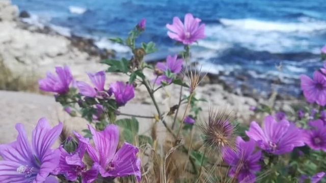 Молитва 3 Его финансы. Молитвы за мужа из книги Сторми Омартиан "Сила молящейся жены"