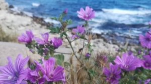 Молитва 3 Его финансы. Молитвы за мужа из книги Сторми Омартиан "Сила молящейся жены"