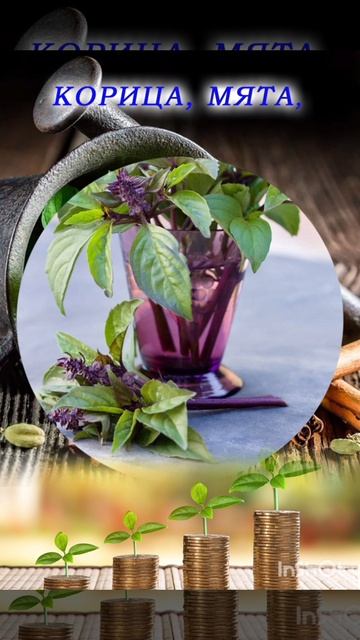 ДЕНЬГИ любят аромат