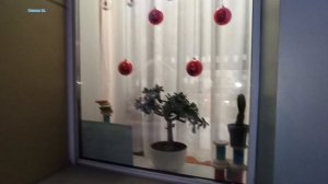 9 декабря. Предновогоднее настроение.mp4