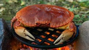 Приготовление крабового рулета: ловля, запекание на гриле и оборачивание в бекон в дикой природе.