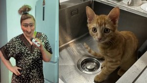 БРОВЧЕНКО , КУДА ЕЁ НЕСЁТ?  😱 КУПИЛИ ЛЮСТРУ 😃 ОТВЕТ НА КОММЕНТАРИЙ 🤔