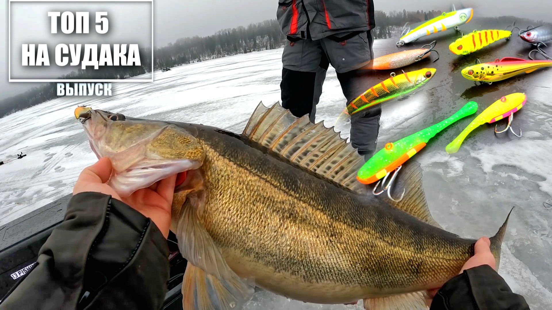 ТОП 5 САМЫЕ ЛУЧШИЕ ЗИМНИЕ ПРИМАНКИ на СУДАКА и ЩУКУ. Рыбалка. Подводная съемка.