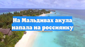 SHOT: Акула напала на россиянку на Мальдивах, ей потребовалась пересадка кожи