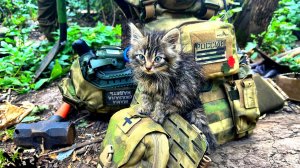 "Боевой котёнок" (Коренблит - Колесникова) из Вокал. мегацикла "Помним: вы победили и мы - победим!"