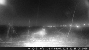 КТО ПРИШЕЛ К МОЕЙ ПРИВАДЕ?