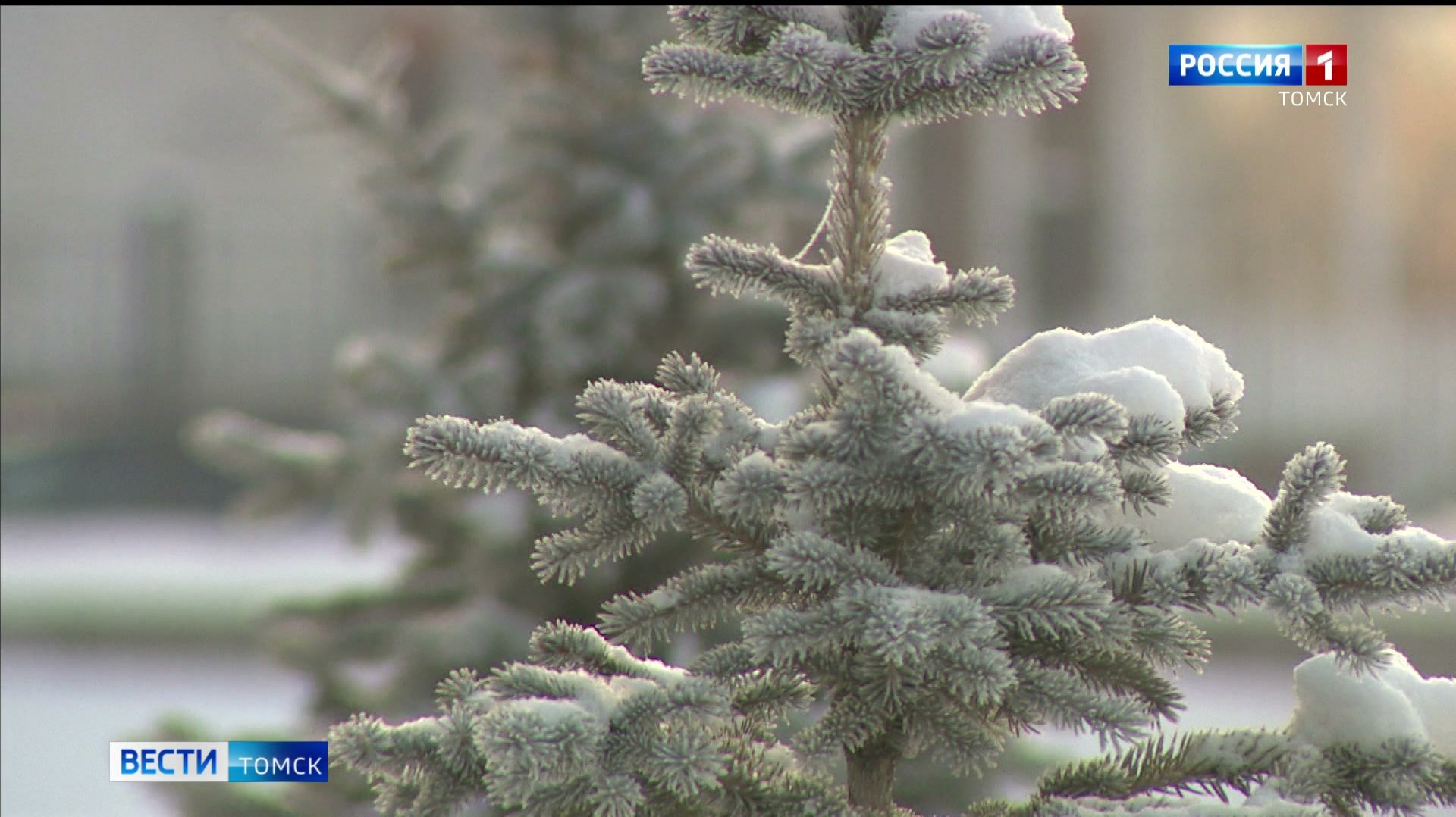 Вести-Томск, выпуск от 08.12.2025 21:10