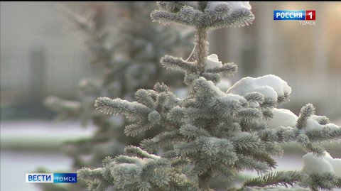 Вести-Томск, выпуск от 08.12.2025 21:10