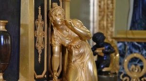 В Павловск приехала собачка из Парижа