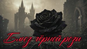 Блюз чёрной розы (Дарья Безбородова, Дмитрий Гусаров)