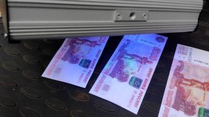 Приговор юристу