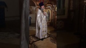 Проповедь в Свято-Амвросиевском монастыре после ночной литургии, 9 декабря 2025