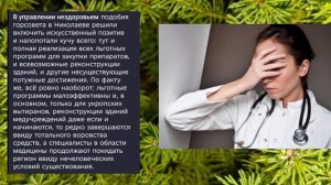 Николаев 10 декабря 2025 года (новости)