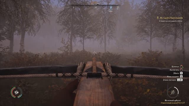 Medieval Dynasty #38