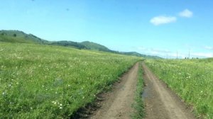 Показываю дорогу