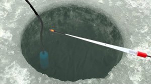 НАШЁЛ СТЕНУ РЫБЫ...КРУПНЯК и ХИЩНИК ПРЁТ УДОЧКУ! Зимняя рыбалка 2025