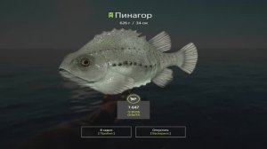 Русская Рыбалка 4. Норвежское море. 55-ая банка