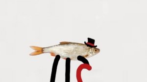 в смена мистера фиша закончилась