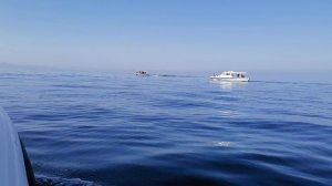 Морская прогулочка по Оманскому заливу