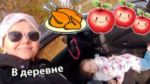 Запекаем деревенскую курочку в духовке. Сбор яблок специальным приспособлением