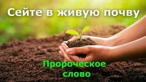 Сейте в живую почву. Пророческое откровение