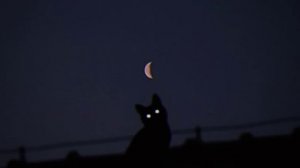 Tally Hall - Hidden In the Sand slowedreverb