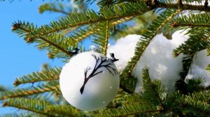 9 декабря - День правды. Вторник меняет судьбу.