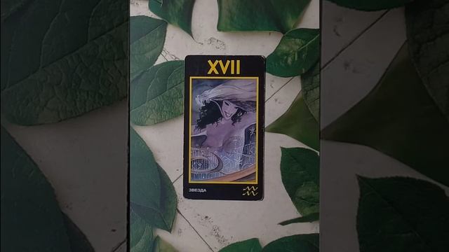 Для начинающих.Таро Манара.Старший аркан Звезда.