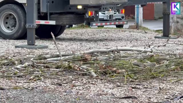 В Аршинцево спилили аварийные тополя смотреть онлайн