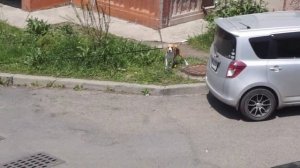 Флотский городок-1