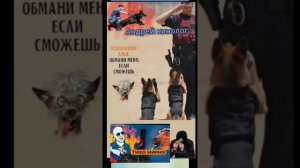 Разрыв пердока