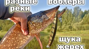 Речные путешествия на лодке