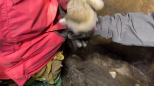 Супер сус ● СОБИРАЕМ МЕДЬ ПОД ЗЕМЛЕЙ