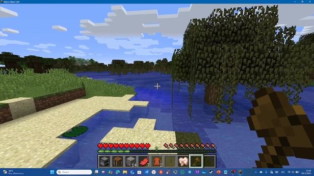 Обзор на Melon Client для Майнкрафт смотреть онлайн